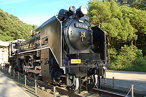 D51正面