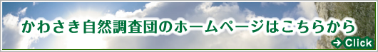 かわさき自然調査団のホームページはこちらから