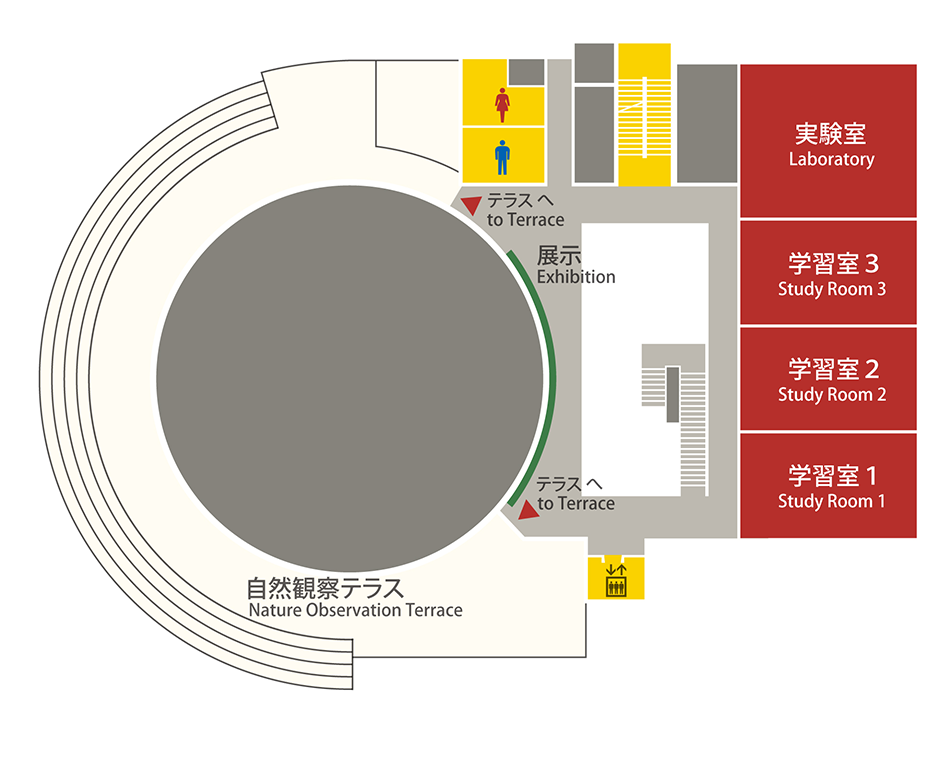 実験室、学習室、展示、自然観察テラスがあります