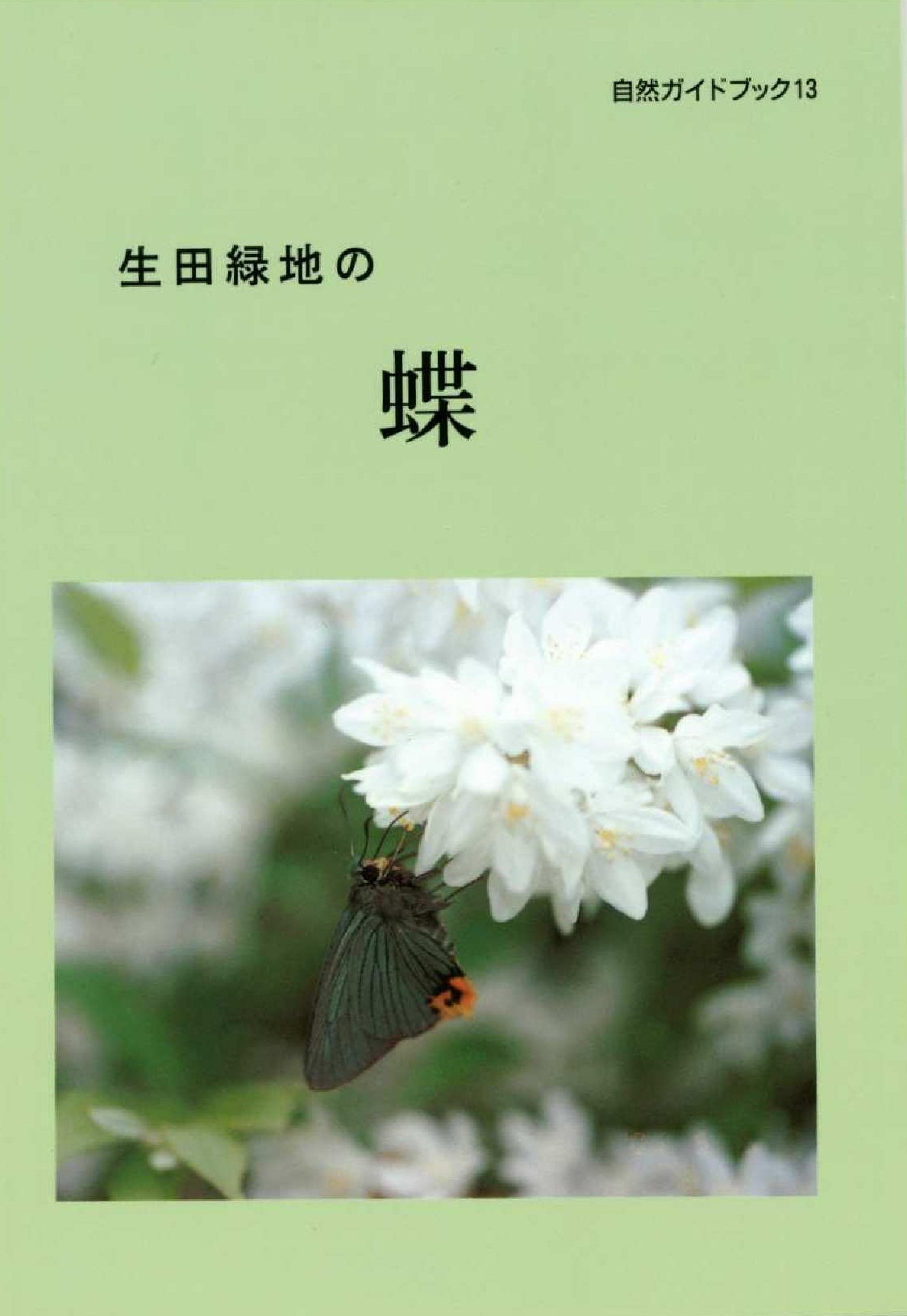 生田緑地の蝶表紙