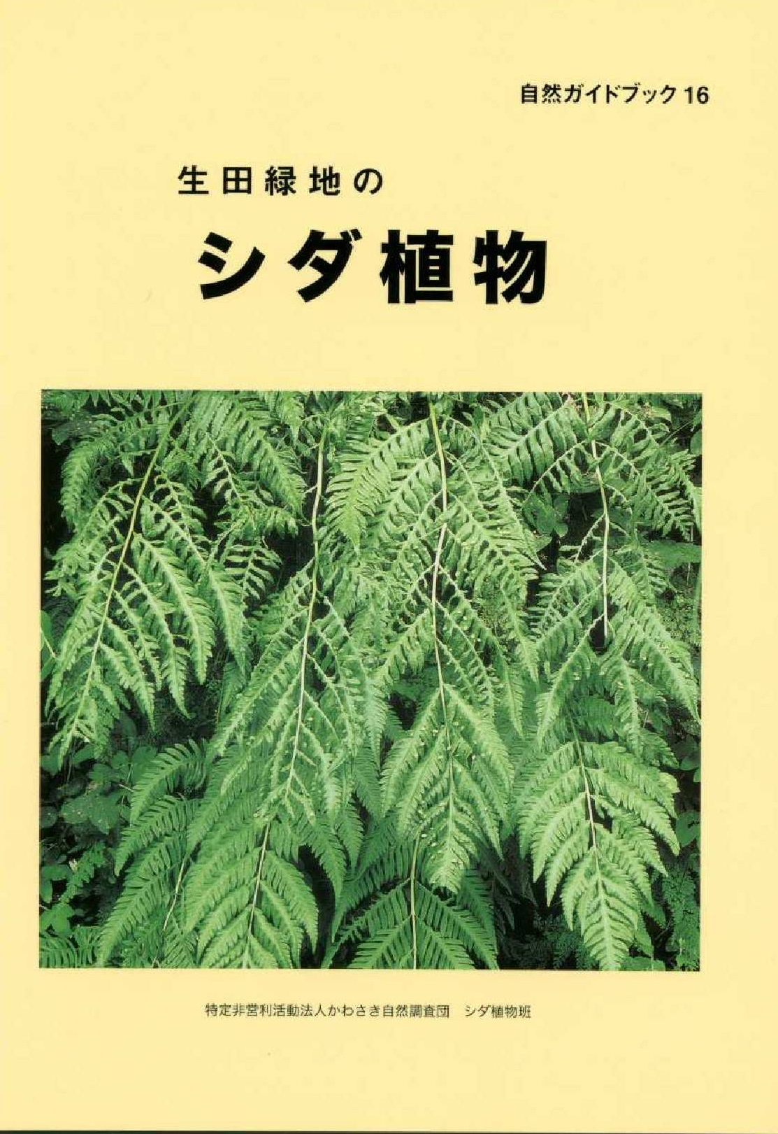 生田緑地のシダ植物表紙