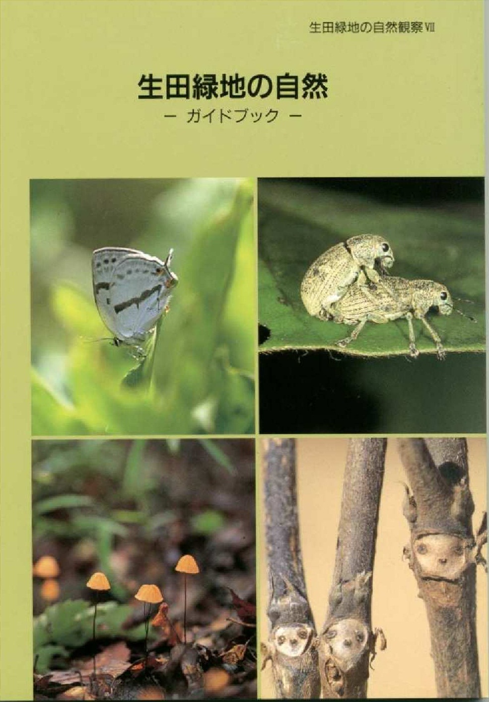生田緑地の自然ガイドブック表紙