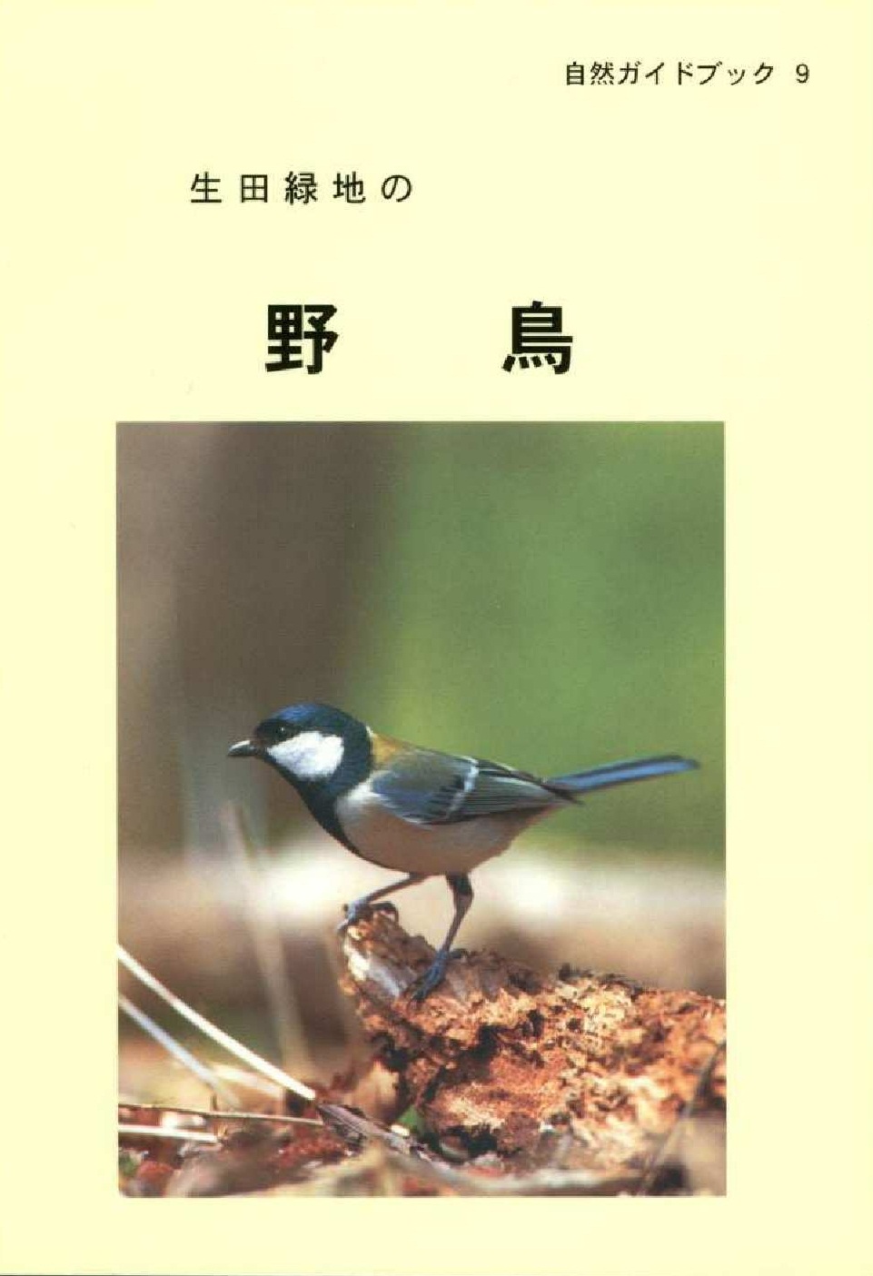 生田緑地の野鳥表紙