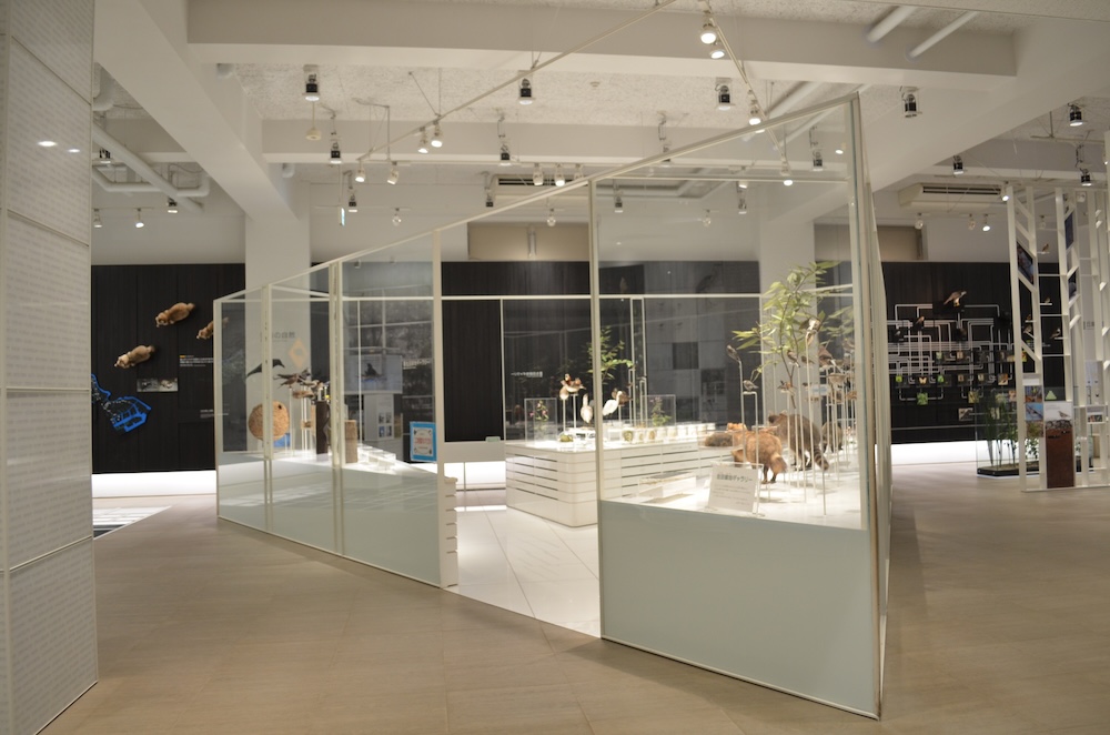 展示の様子