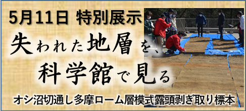 5月11日特別展示