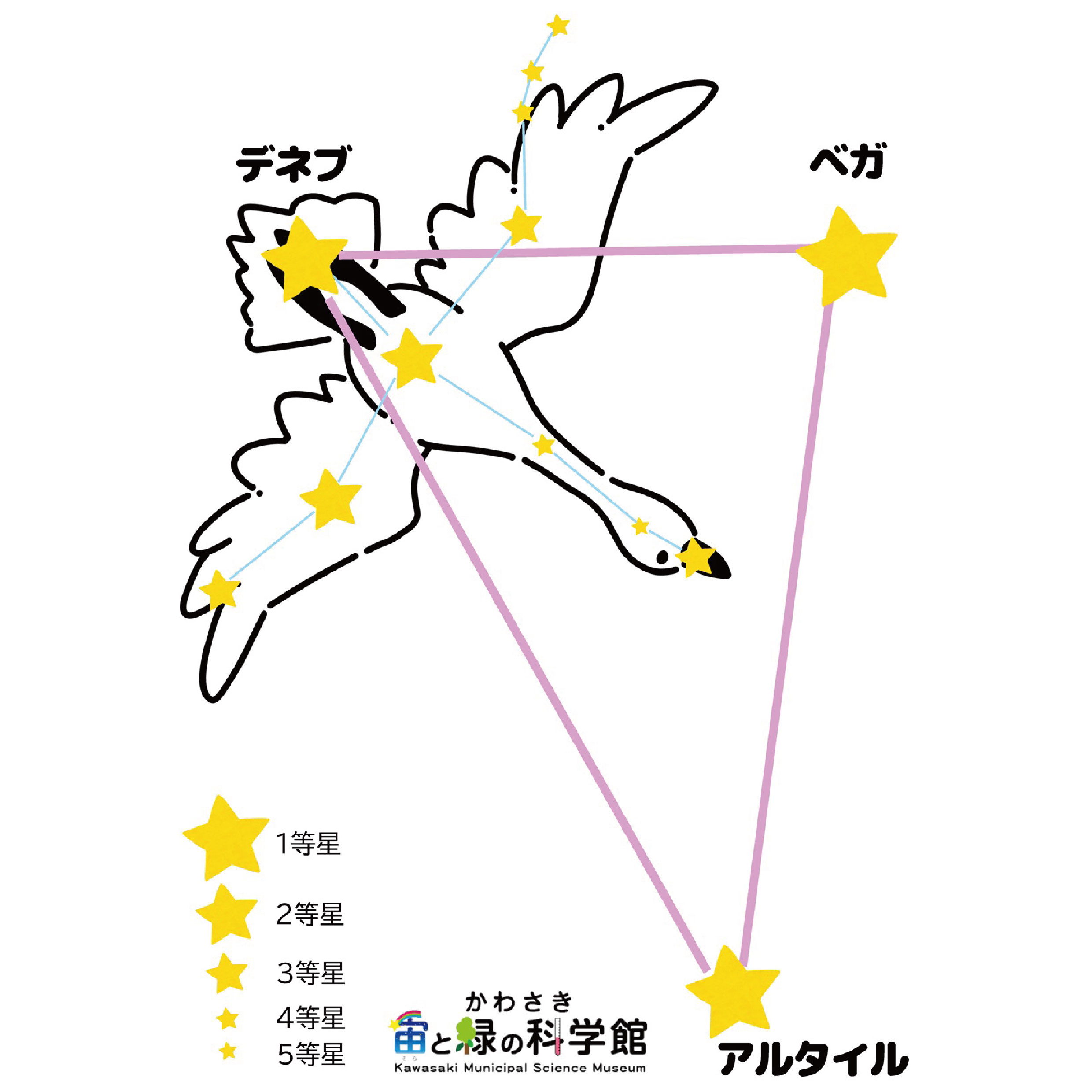 観察シート