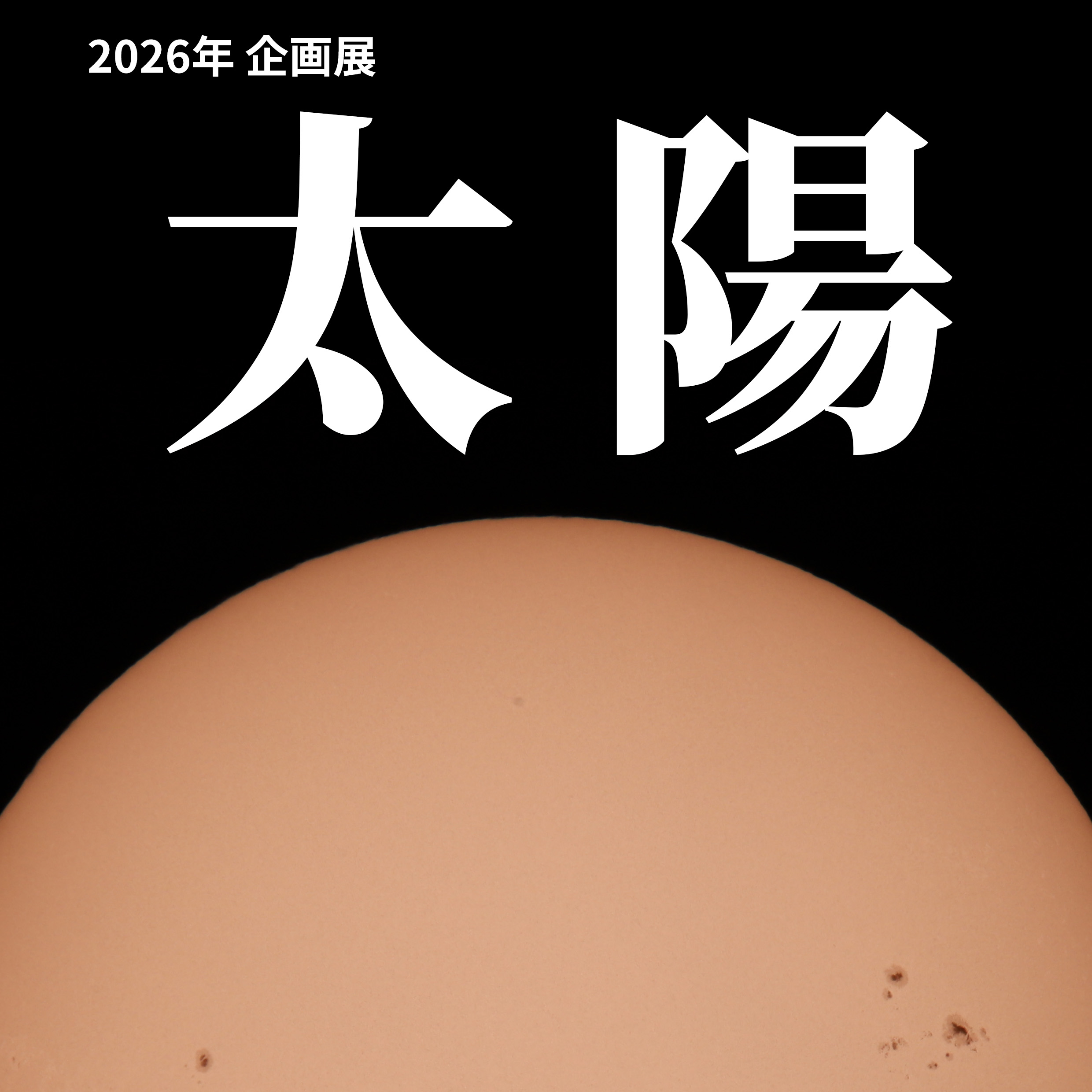 2026年企画展「太陽」のロゴ